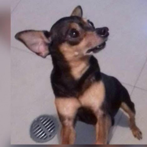 Foto de perfil de Gregorio Antonio L.
